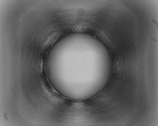 X0000103440694200809191725