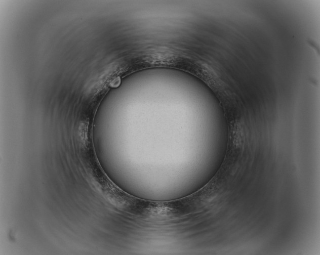 X0000103440695200809191725