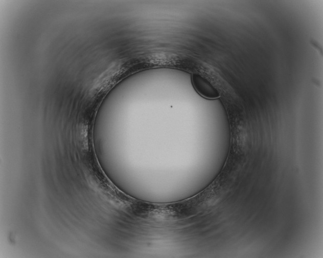X0000103440696200809191725