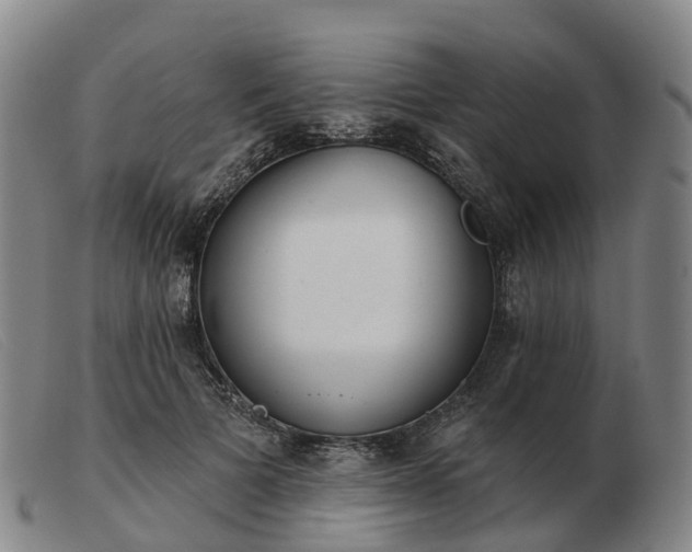 X0000103440697200809191725