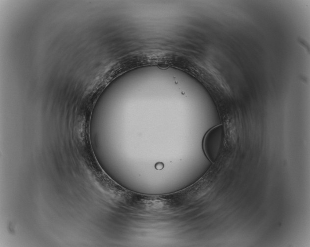 X0000103440698200809191725