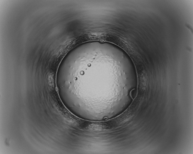 X0000103440699200809191725