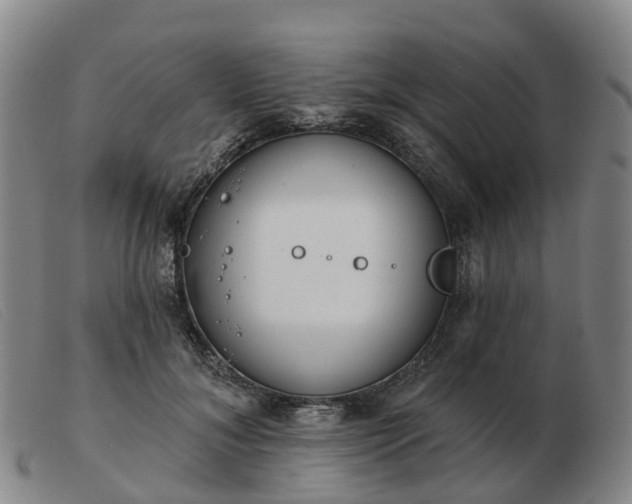 X0000103440700200809191725