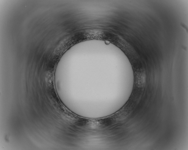 X0000103440701200809191725