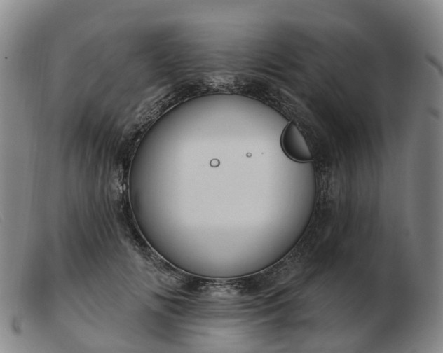 X0000103440702200809191725