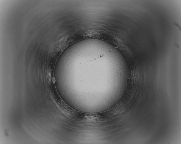 X0000103440703200809191725