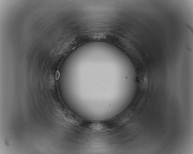 X0000103440704200809191725