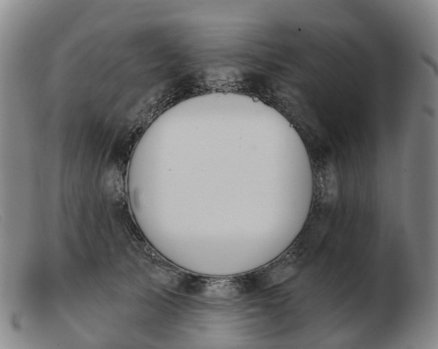 X0000103440705200809191725
