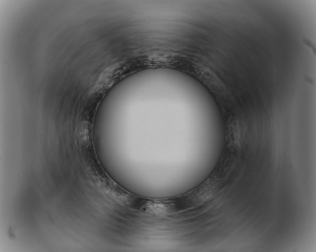 X0000103440706200809191725