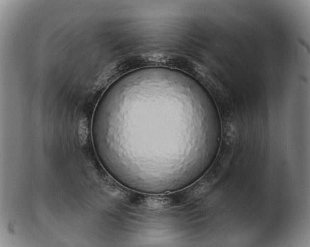 X0000103440707200809191725