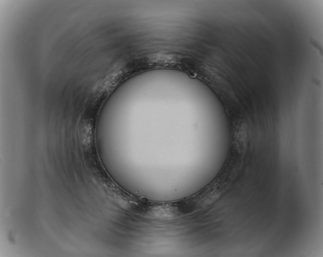 X0000103440708200809191725