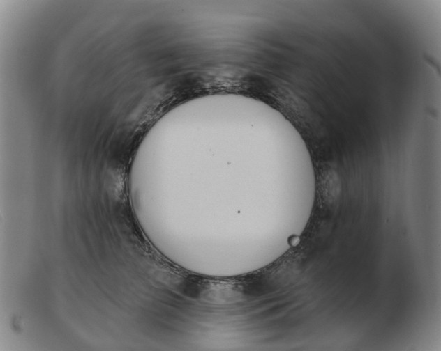 X0000103440709200809191725