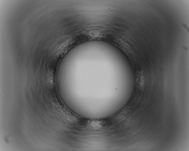 X0000103440710200809191725