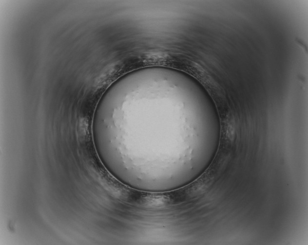 X0000103440711200809191725