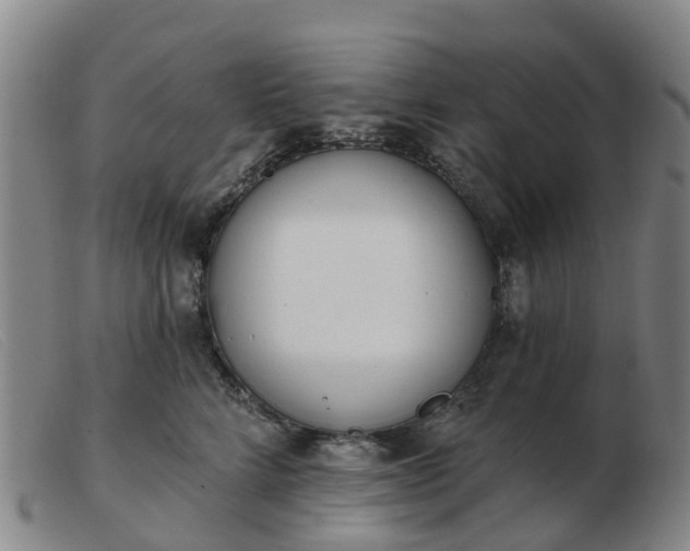 X0000103440712200809191725