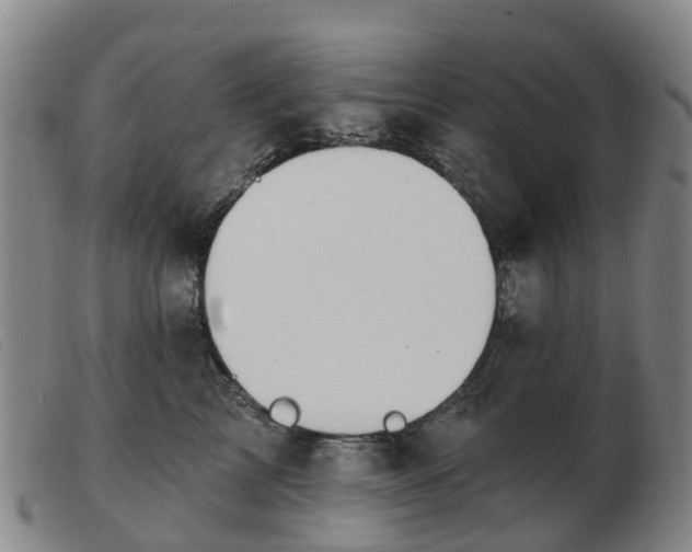 X0000103440713200809191725