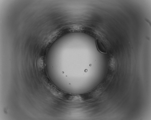 X0000103440715200809191725