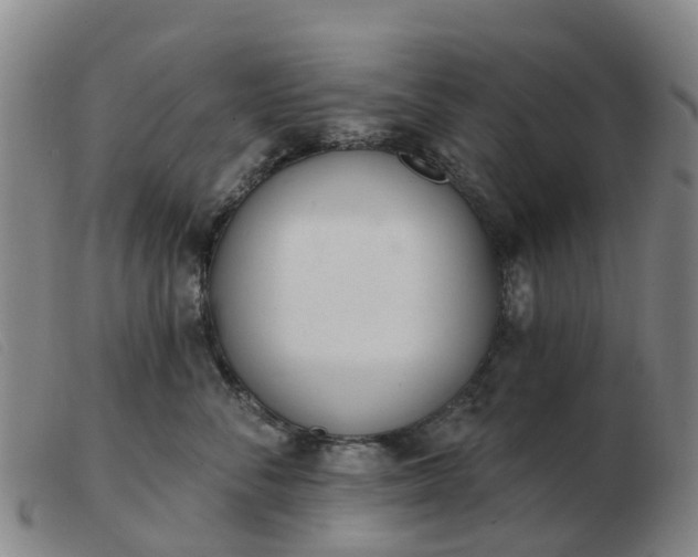 X0000103440716200809191725