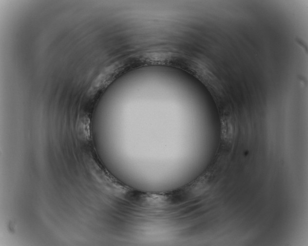 X0000103440718200809191725