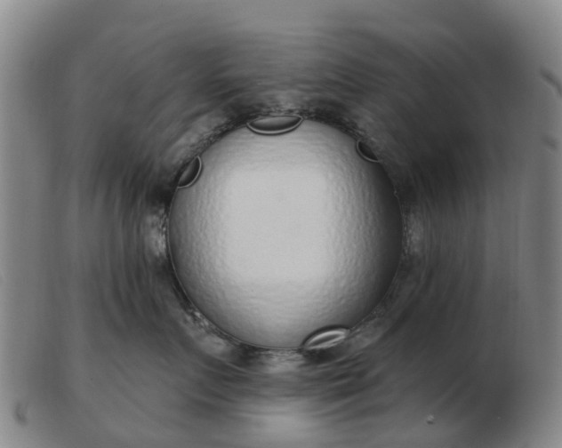 X0000103440719200809191725