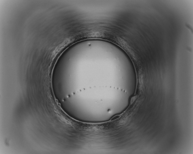 X0000103440721200809191724