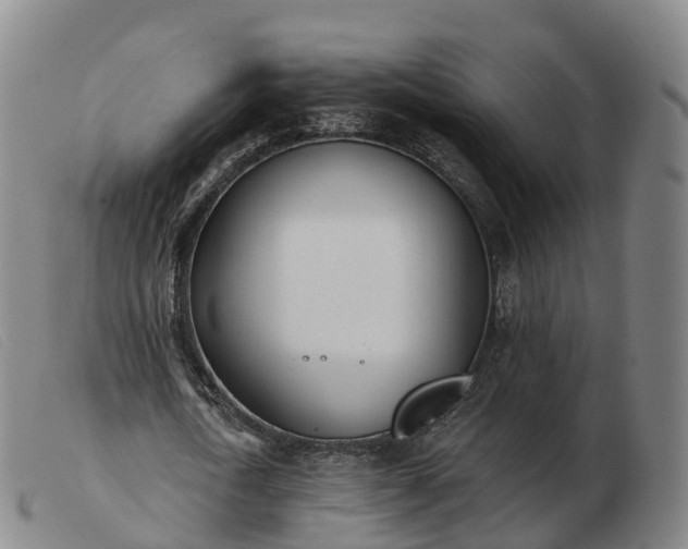 X0000103440722200809191724