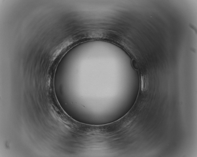 X0000103440723200809191724