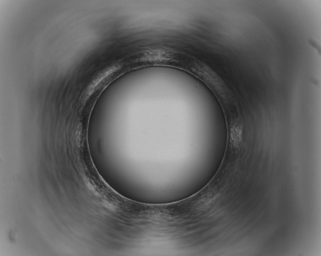 X0000103440724200809191724