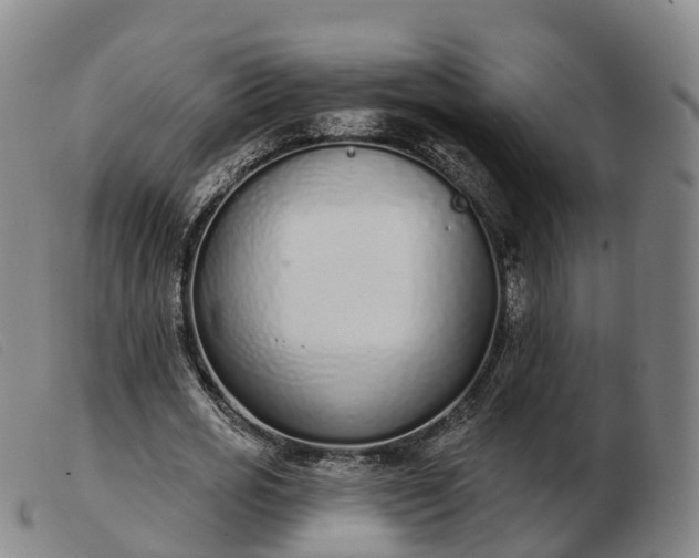 X0000103440725200809191724