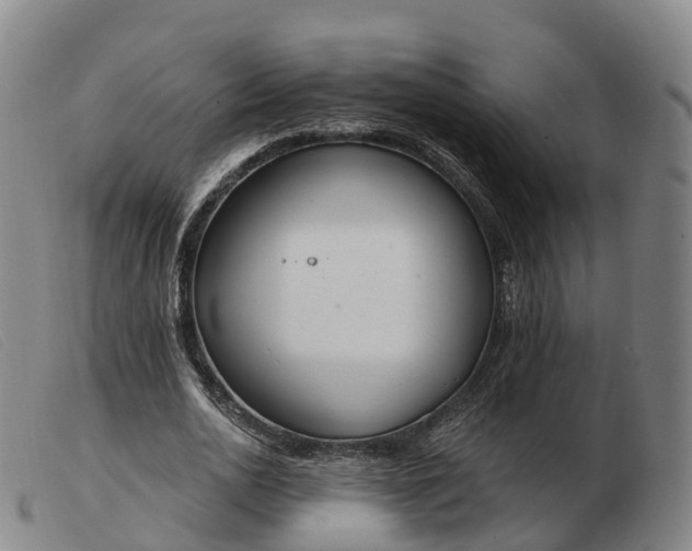 X0000103440726200809191724