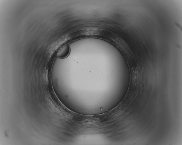 X0000103440727200809191724