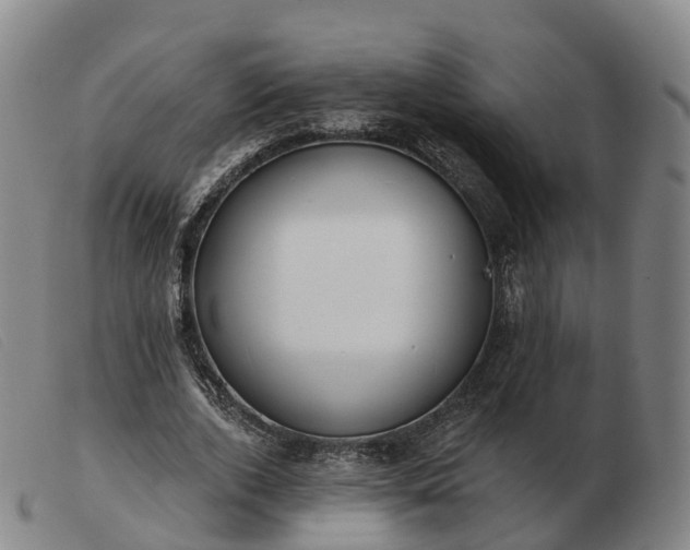X0000103440728200809191724
