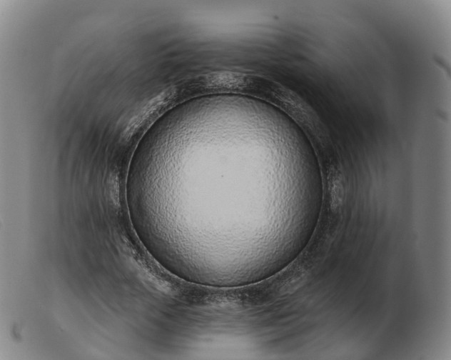 X0000103440729200809191724