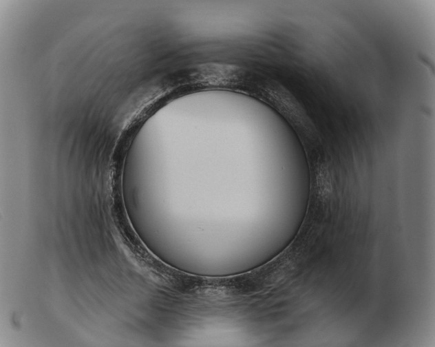 X0000103440730200809191724