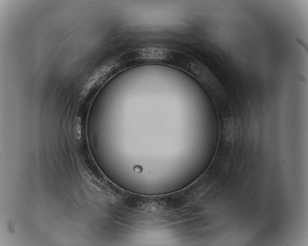 X0000103440731200809191724