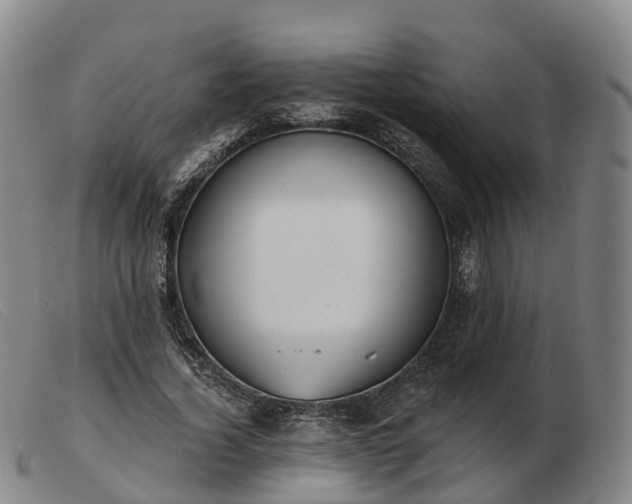 X0000103440732200809191724
