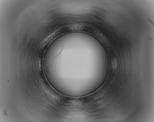 X0000103440733200809191724
