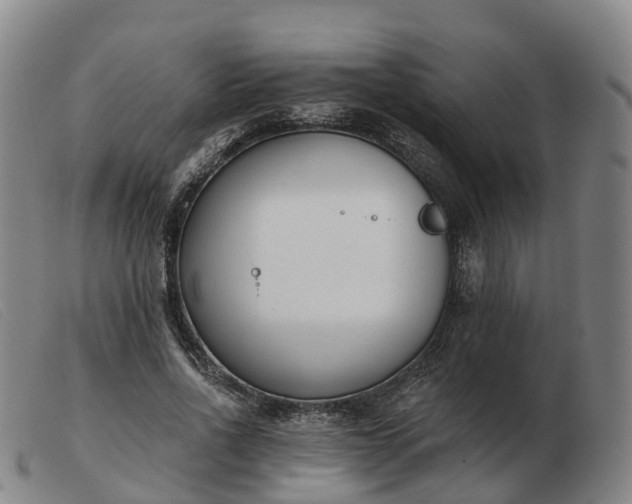 X0000103440734200809191724