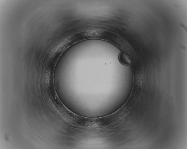 X0000103440735200809191724