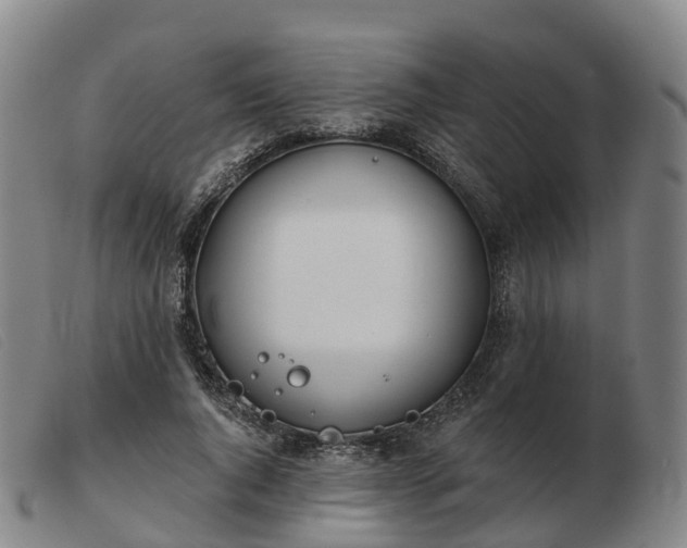 X0000103440736200809191724