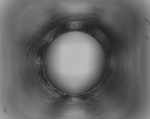 X0000103440737200809191724