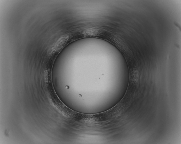 X0000103440738200809191724