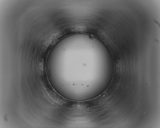 X0000103440739200809191724