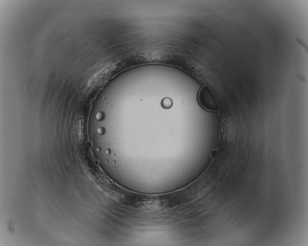 X0000103440740200809191724
