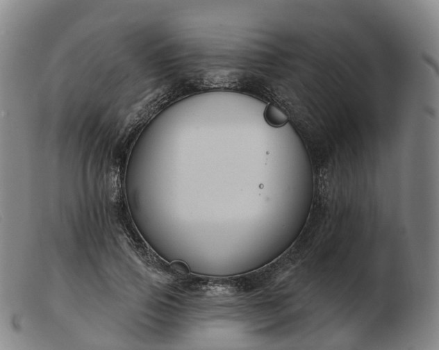 X0000103440741200809191724