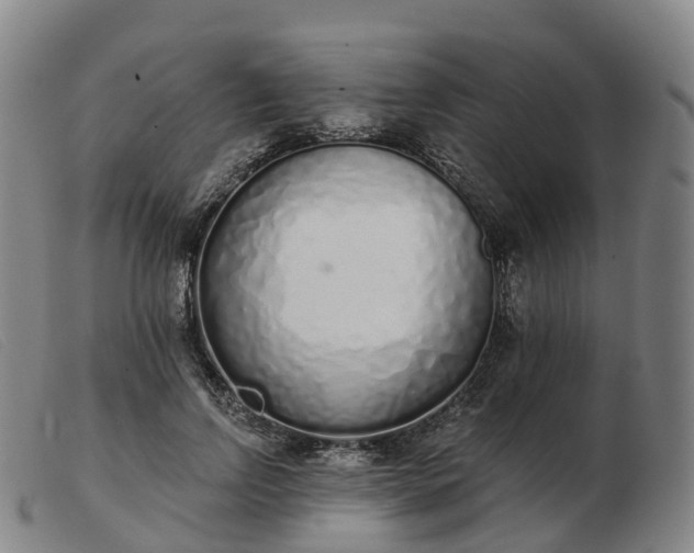 X0000103440742200809191724