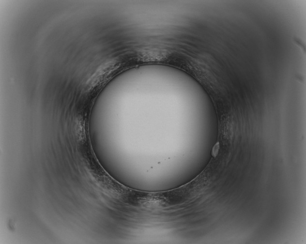 X0000103440743200809191724