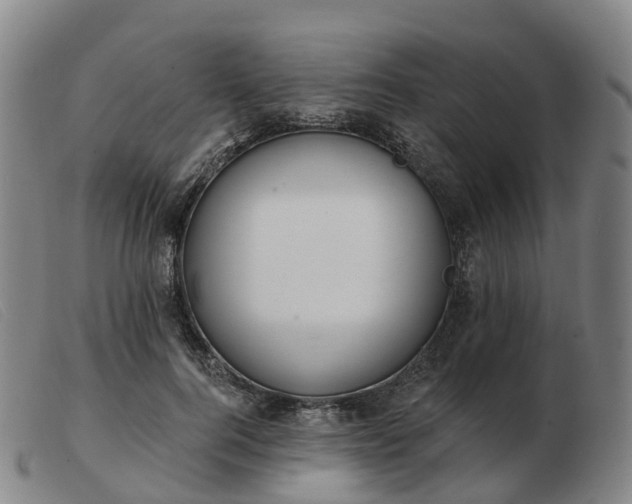 X0000103440744200809191724