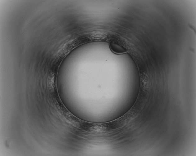 X0000103440745200809191724