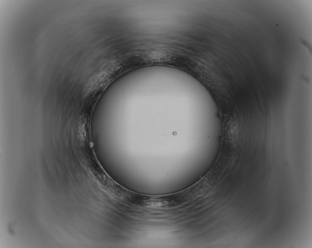 X0000103440746200809191724